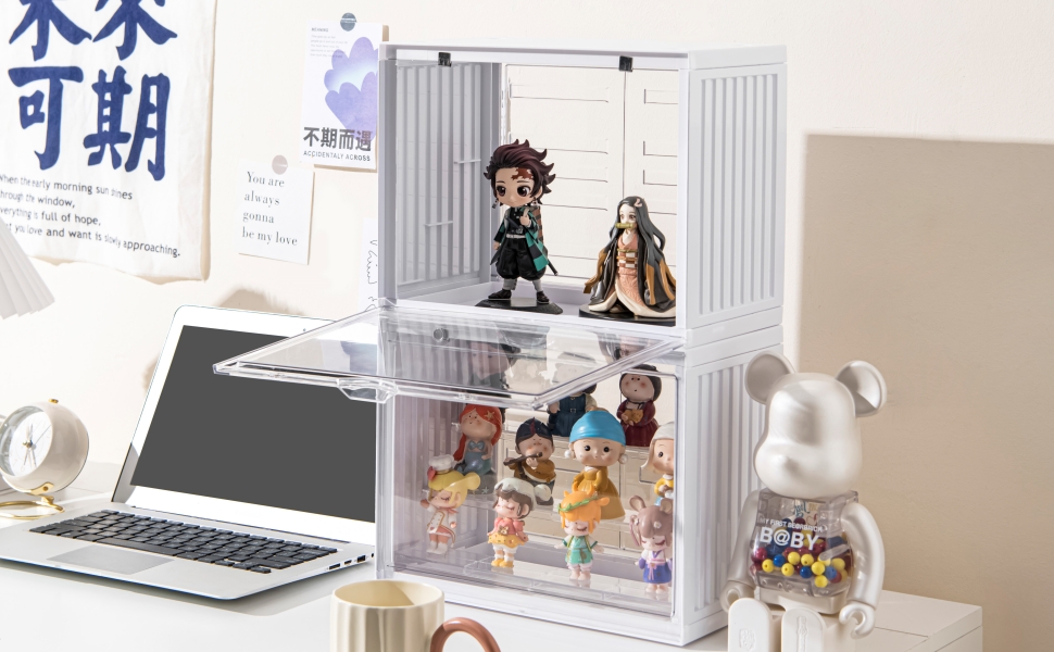 Acrylic Display Case