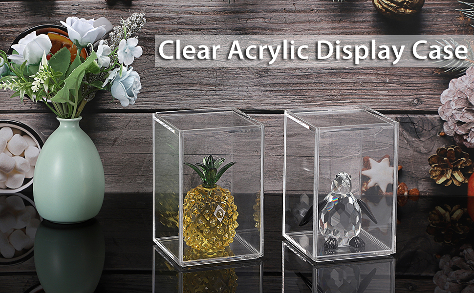 Rectangular  Clear Acrylic Show Box
