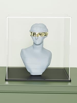 display case dustproof acrylic display box for figures