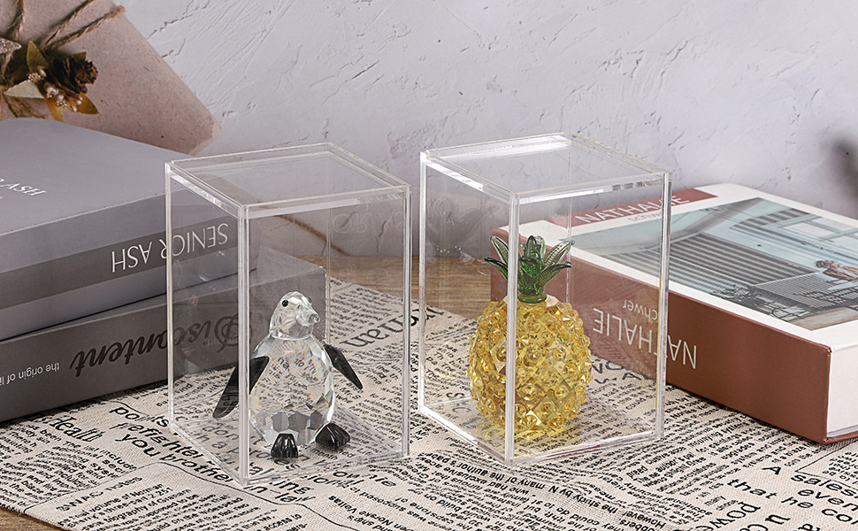 Rectangular Clear Acrylic Dustproof Show Box