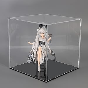 Doll Display Case