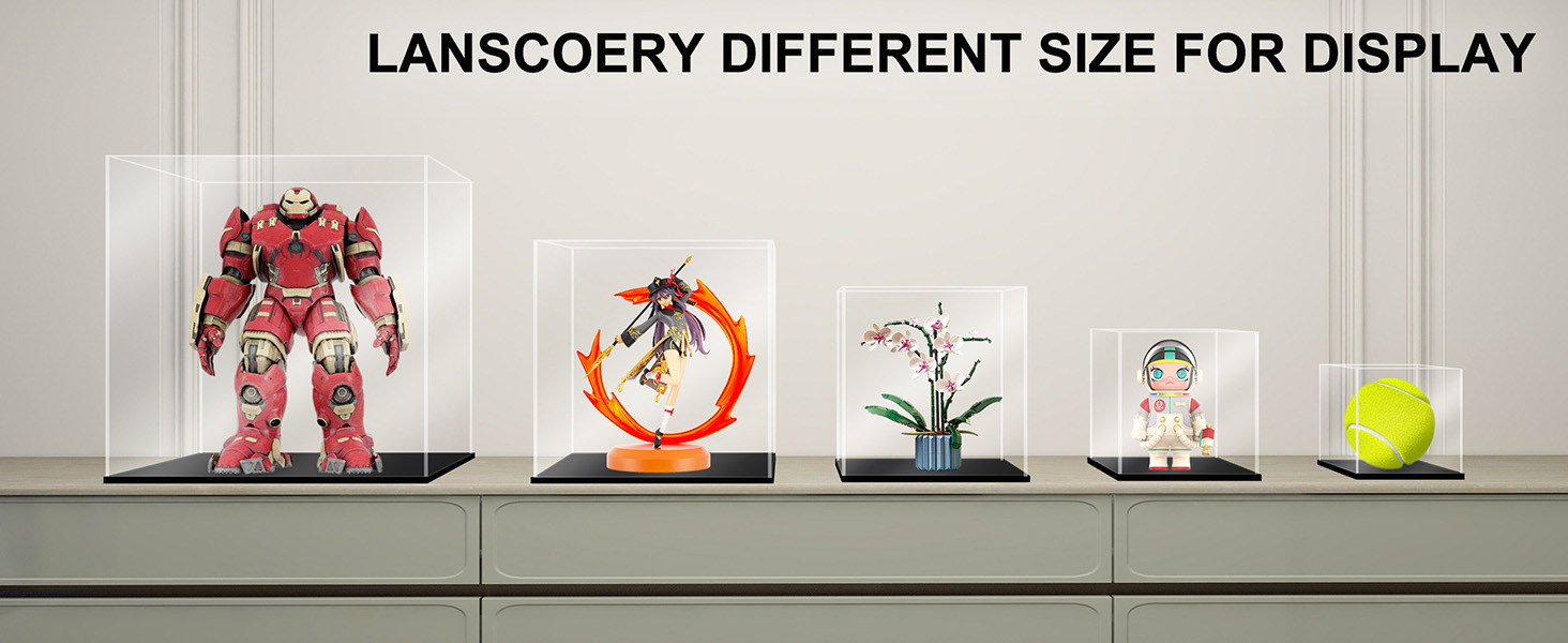 display case