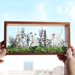 rock display case，memorial shadow box