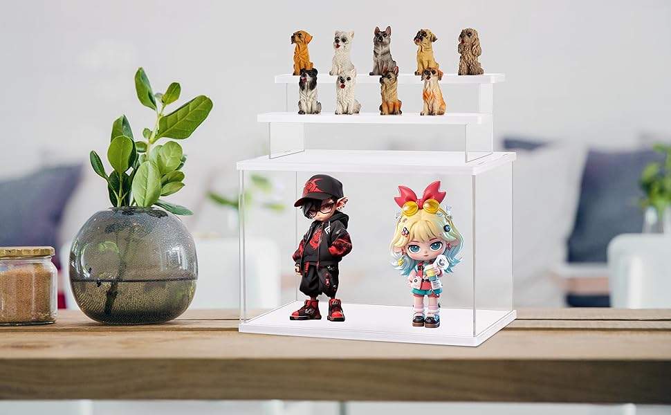 acrylic display case