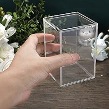 Rectangular Clear Acrylic Dustproof Show Box