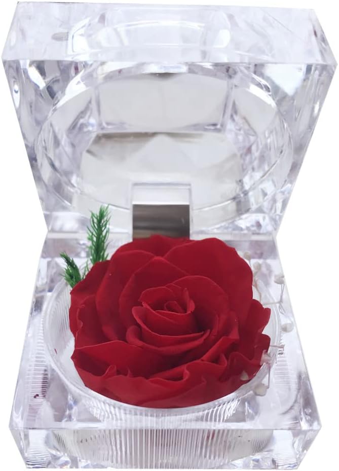 Preserved Rose Real Forever Rose in Mini Clear Ring Box, Eternal Flower Rose Gifts for Women Mom Girlfriend Grandma, Mothers Day, Anniversary, Valentines, Christmas, Birthday (red)