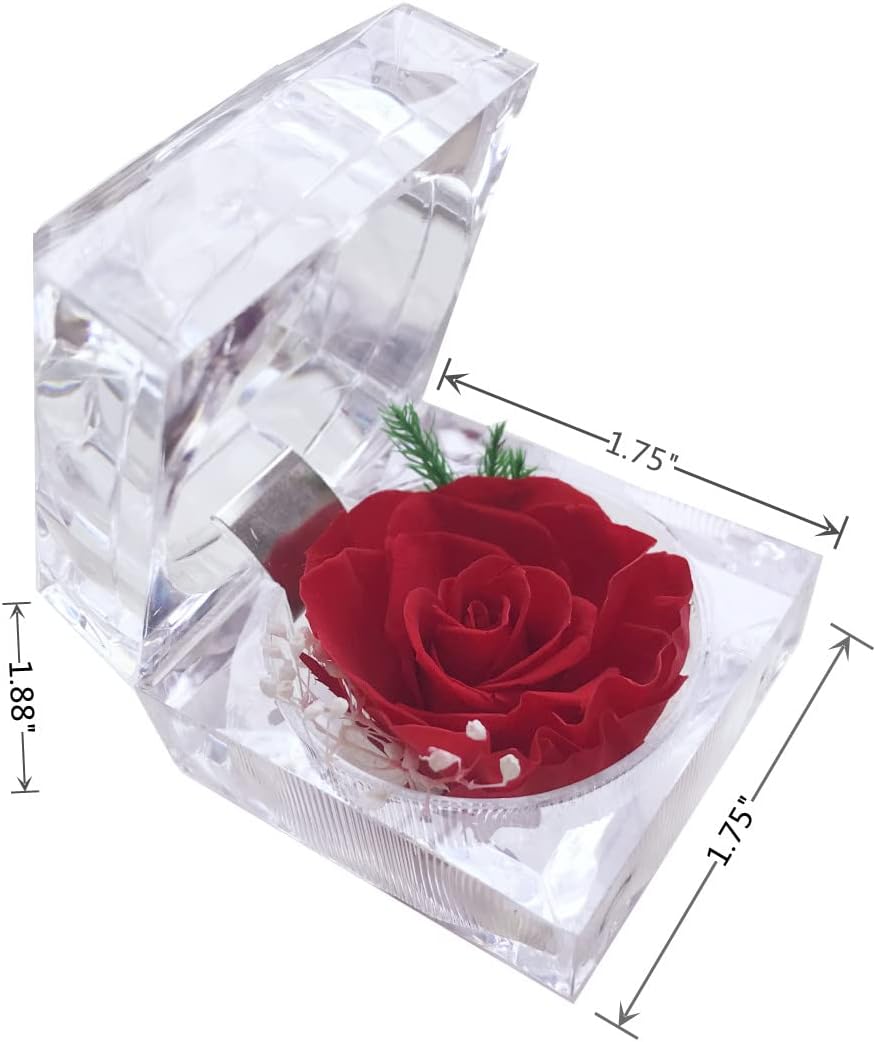 ODM Preserved Rose Real Forever Rose in Mini Clear Ring Box, Eternal Flower Rose Gifts for Women Mom Girlfriend Grandma, Mothers Day, Anniversary, Valentines, Christmas, Birthday (red) Custom Mold Development