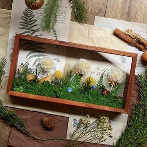 gift display shadow box，memory box frame
