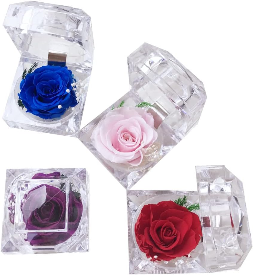 ODM Preserved Rose Real Forever Rose in Mini Clear Ring Box, Eternal Flower Rose Gifts for Women Mom Girlfriend Grandma, Mothers Day, Anniversary, Valentines, Christmas, Birthday (red) Custom Mold Development