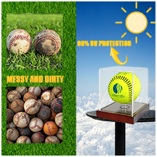 baseball protector case