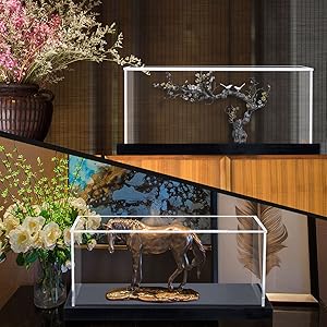 display case