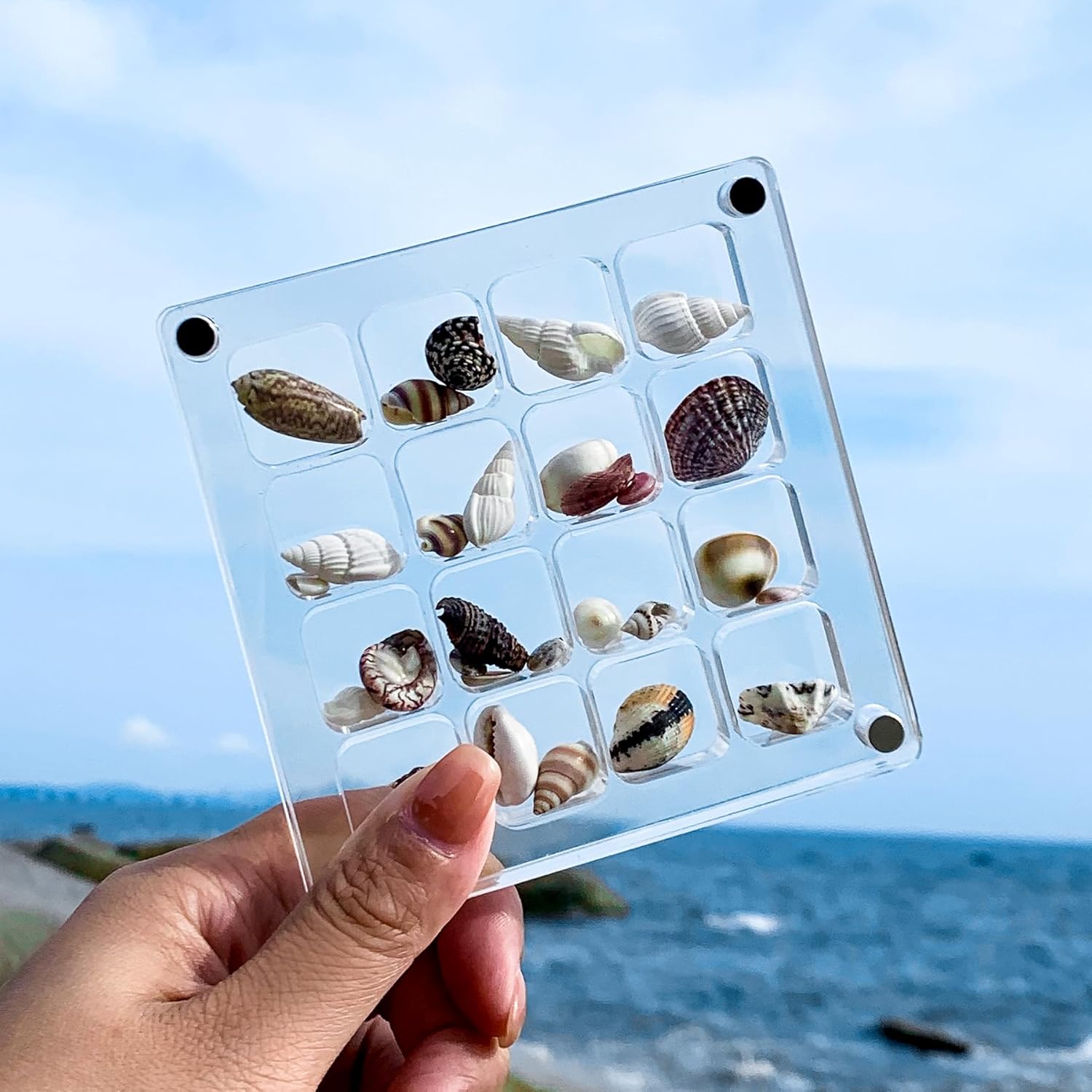 Direct Manufacturer Multi-Style Clear Acrylic Magnetic Seashell Display Collecting Box, Acrylic Shadow Box for Tiny Treasure Hunting Seashell Holder Display Grid Cabinet Case Box,Display Seashell Jewelry Crystal Low MOQ