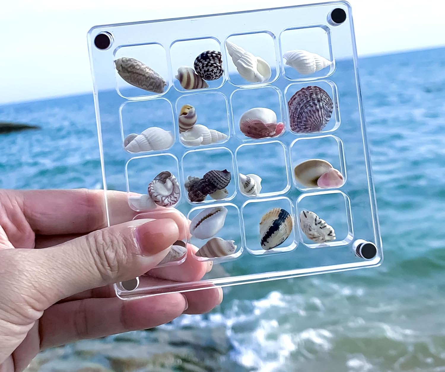 Direct Manufacturer Multi-Style Clear Acrylic Magnetic Seashell Display Collecting Box, Acrylic Shadow Box for Tiny Treasure Hunting Seashell Holder Display Grid Cabinet Case Box,Display Seashell Jewelry Crystal Low MOQ