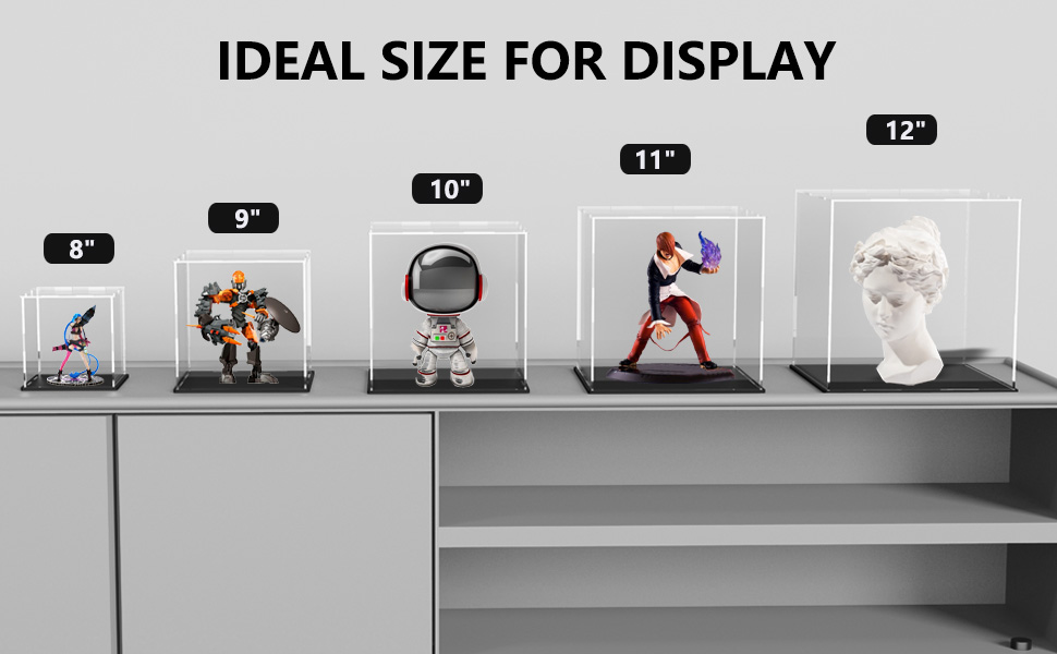 Acrylic Case for Display