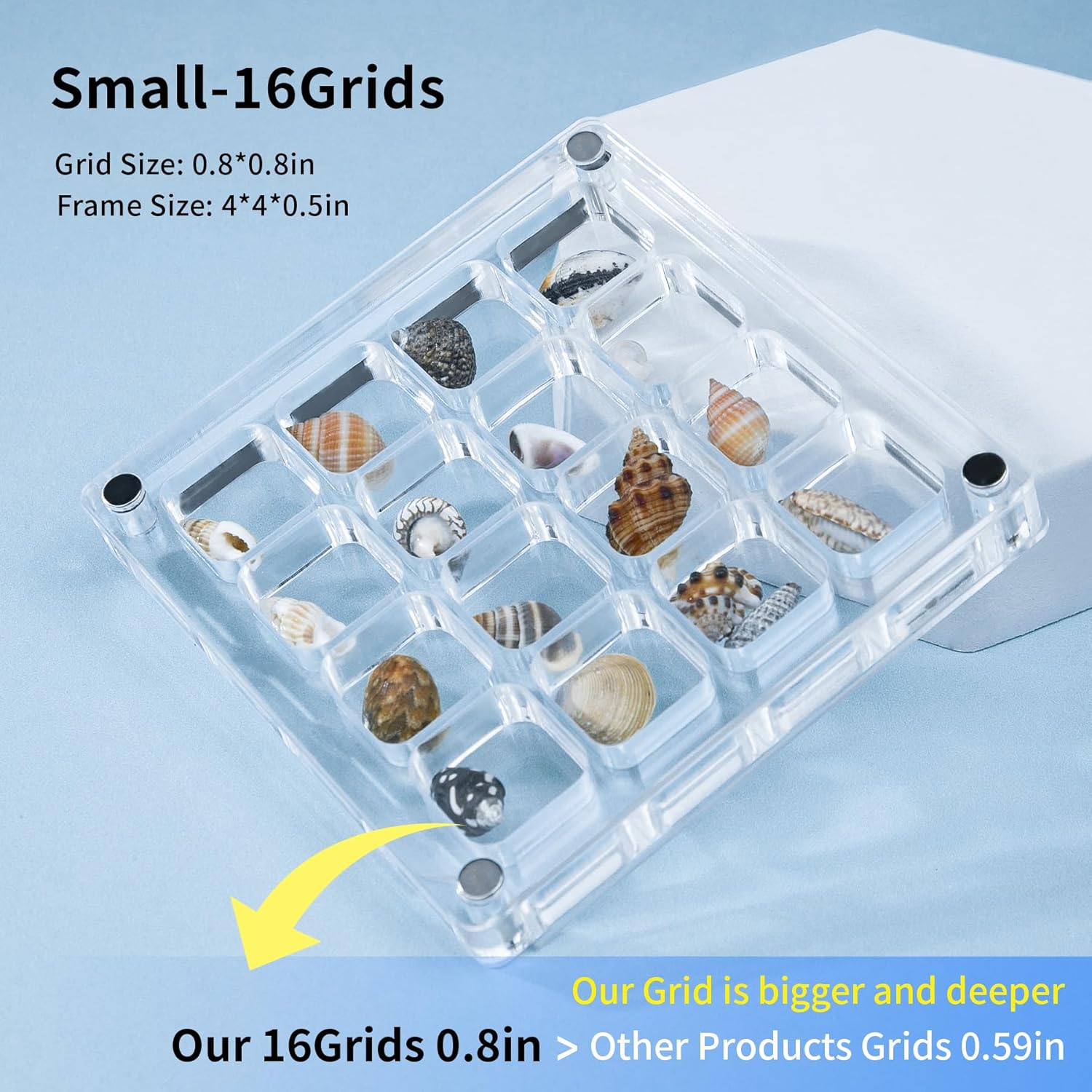 Direct Manufacturer Multi-Style Clear Acrylic Magnetic Seashell Display Collecting Box, Acrylic Shadow Box for Tiny Treasure Hunting Seashell Holder Display Grid Cabinet Case Box,Display Seashell Jewelry Crystal Low MOQ