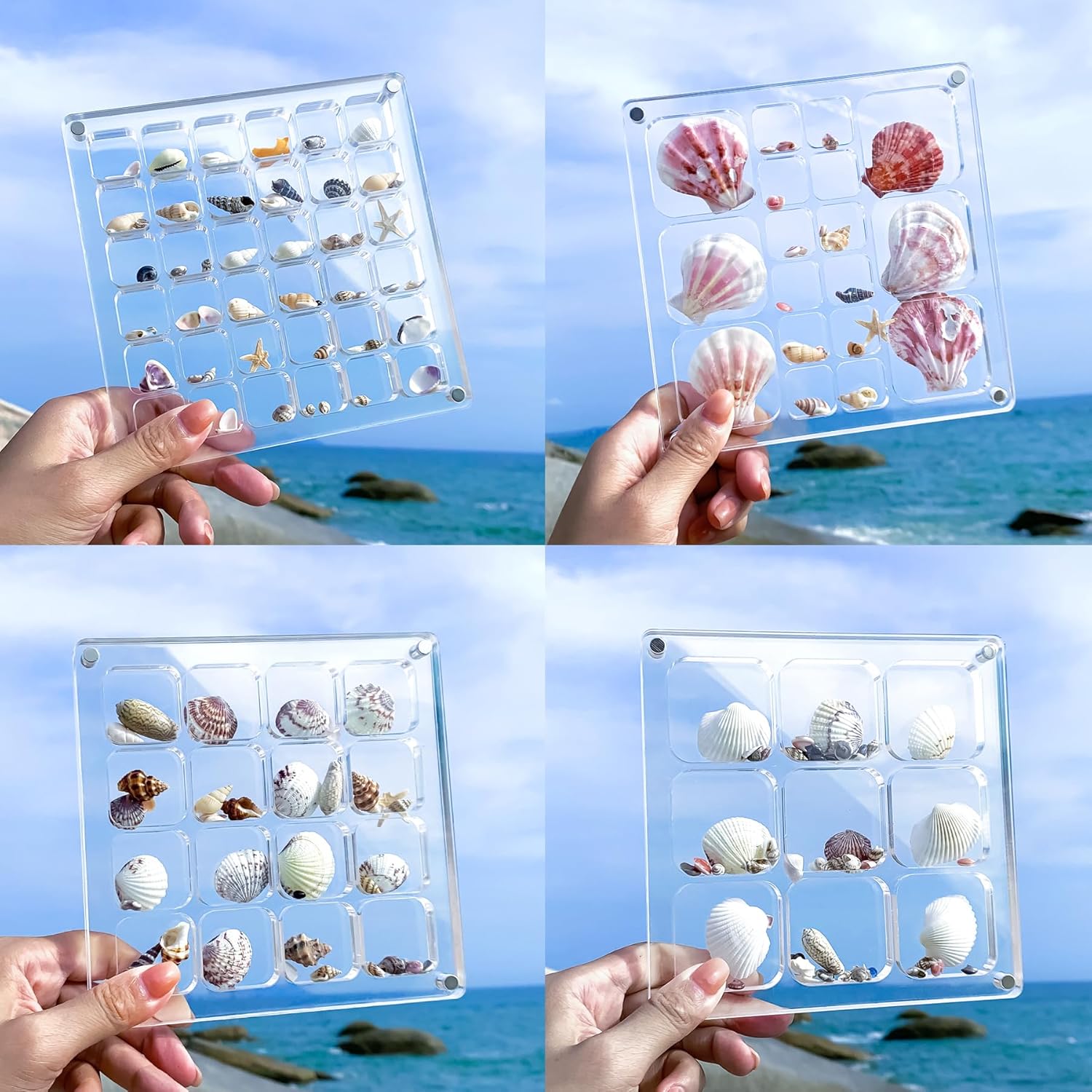Multi-Style Clear Acrylic Magnetic Seashell Display Collecting Box, Acrylic Shadow Box for Tiny Treasure Hunting Seashell Holder Display Grid Cabinet Case Box,Display Seashell Jewelry Crystal