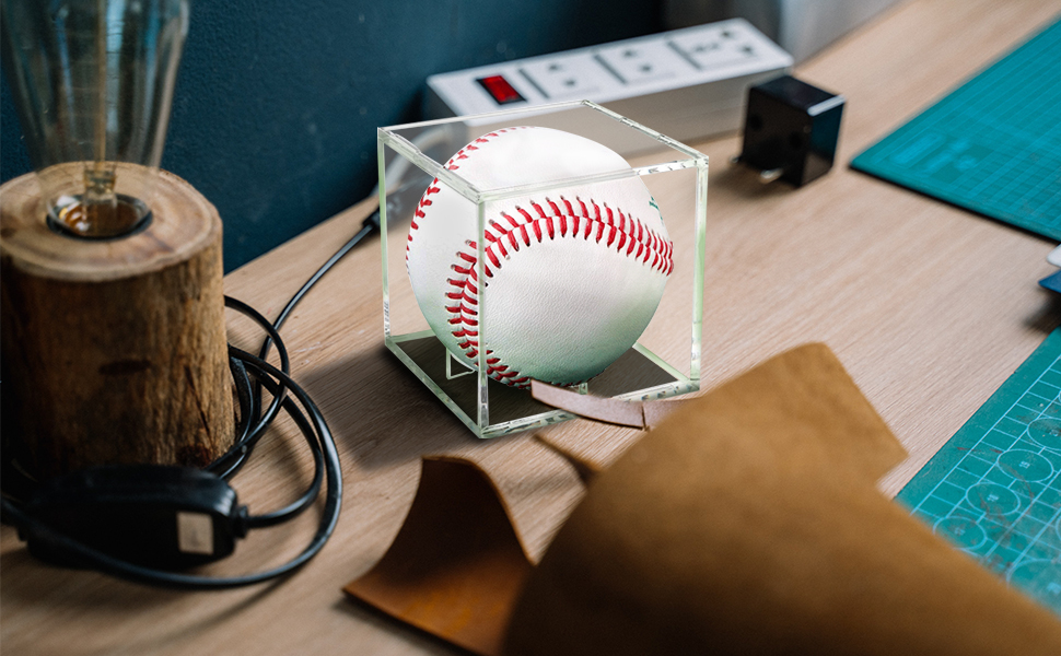 Baseball Display Case