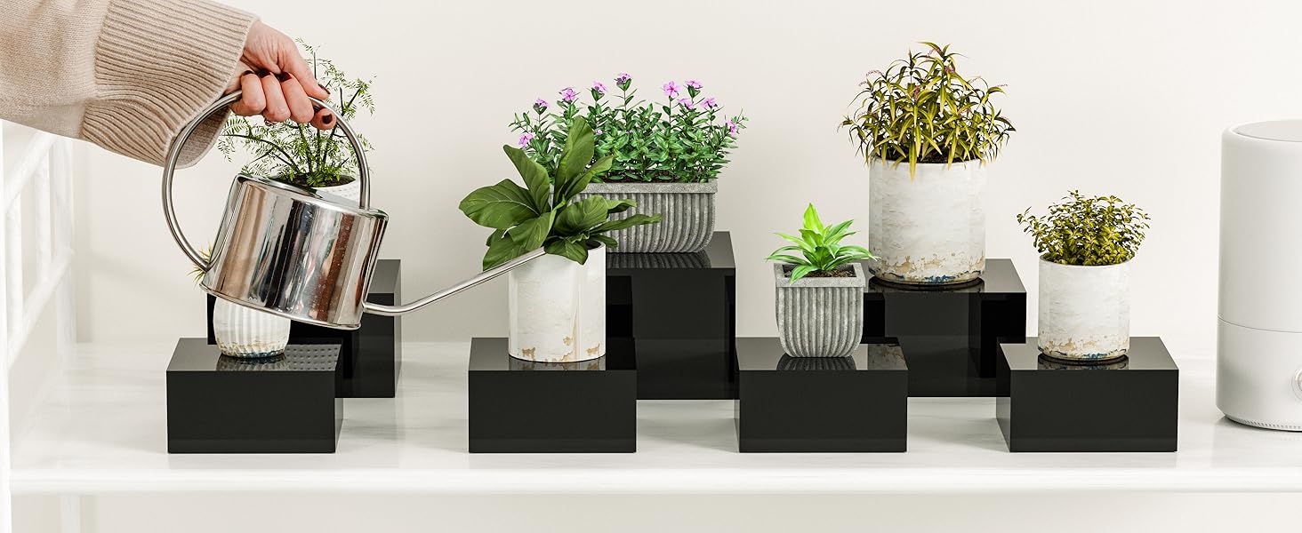 Acrylic Planter Display
