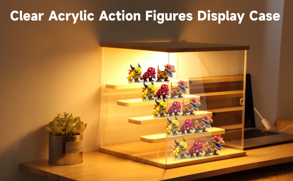 Acrylic Action Figures Case