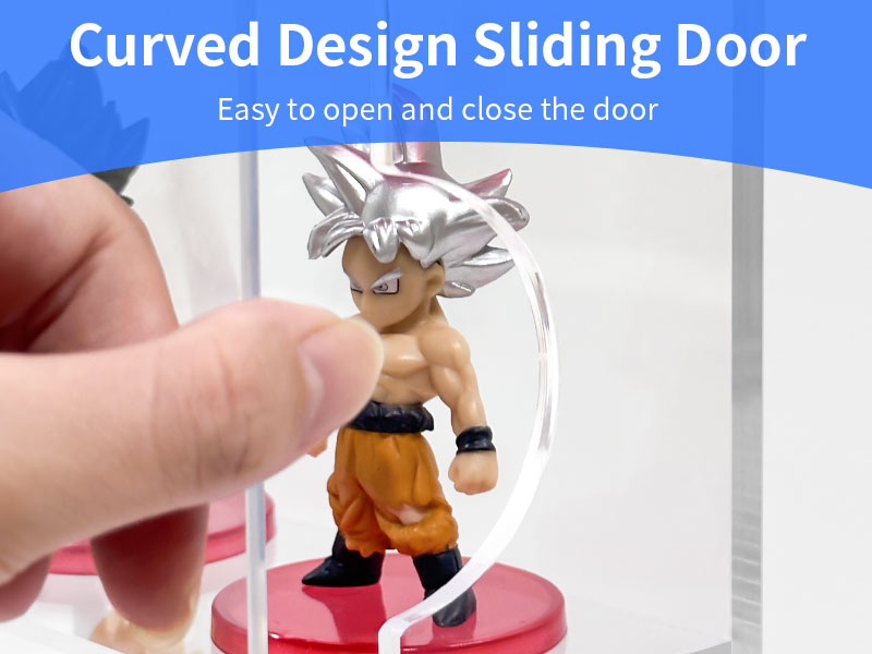 wall display case