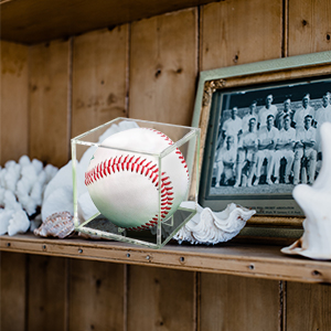 Baseball Display Case