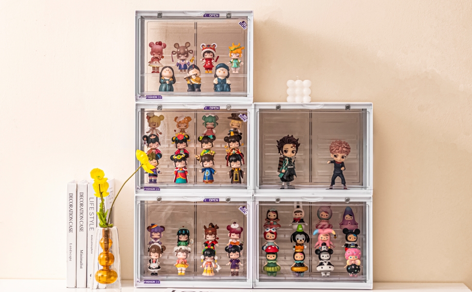 Acrylic Display Case