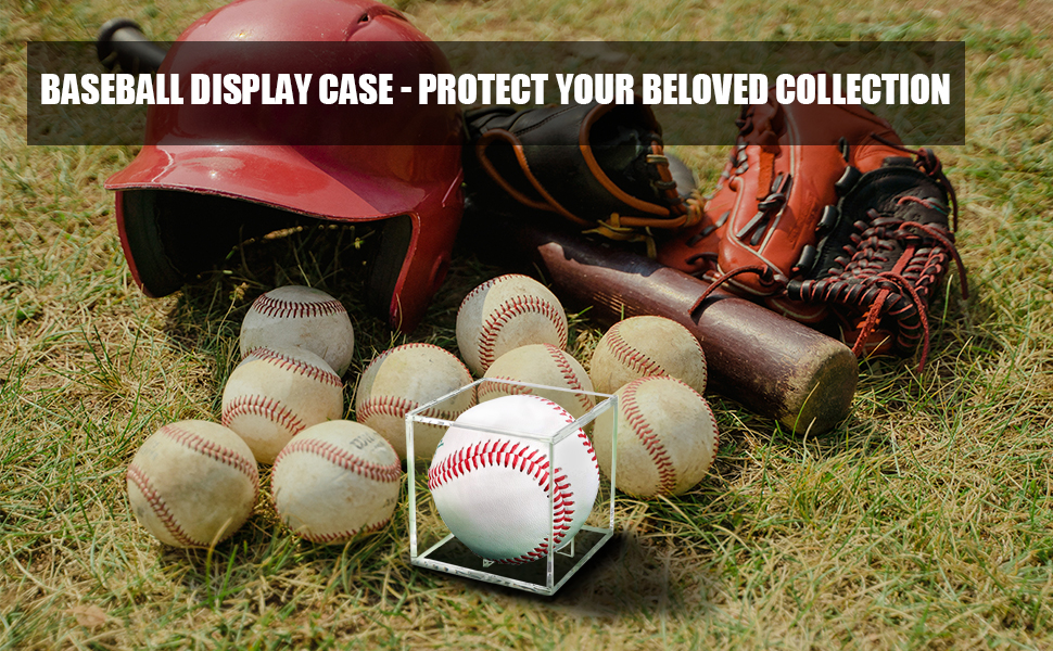 Baseball Display Case