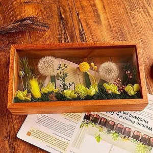 shadow box frame