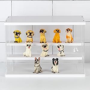 action figure display case