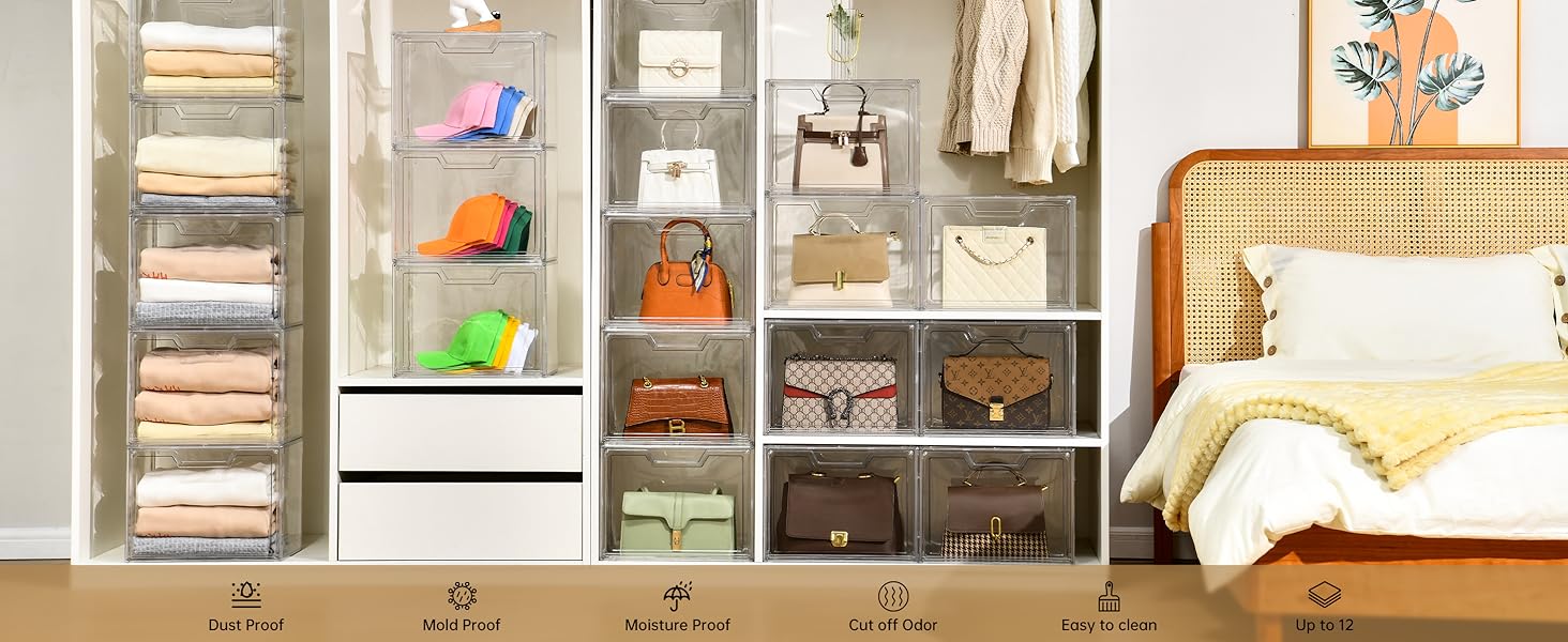 Purse Organzier for Closet