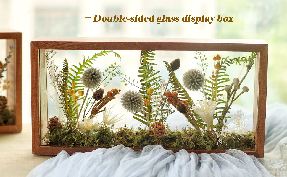 glass frames for dried flowers，Double-sided glass display box