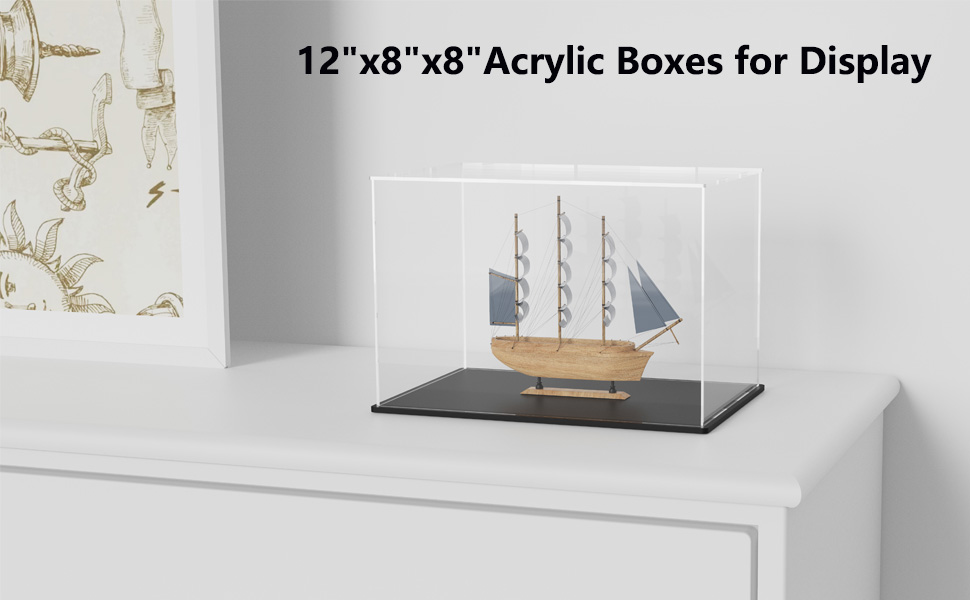 Acrylic Case for Display