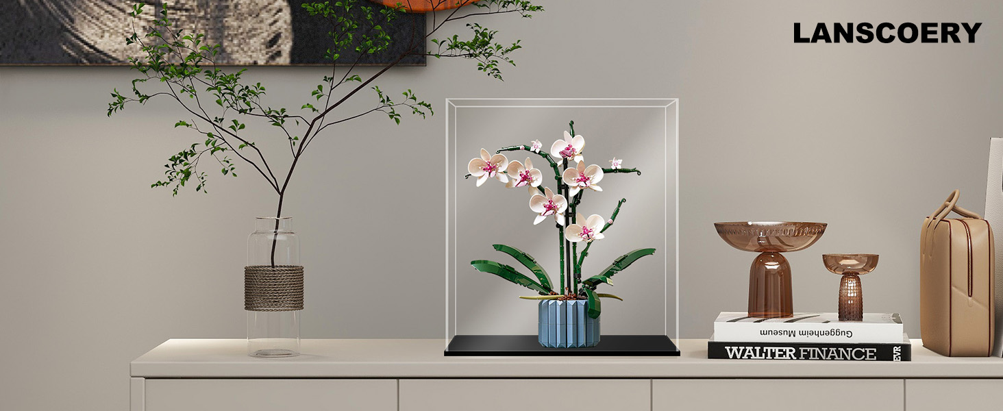 display case